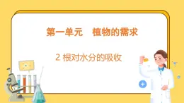 1.2 根对水分的吸收（课件）-2024-2025学年五年级上册科学粤教粤科版