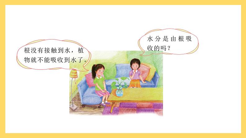 1.2 根对水分的吸收(课件)-2024-2025学年五年级上册科学粤教粤科版第2页