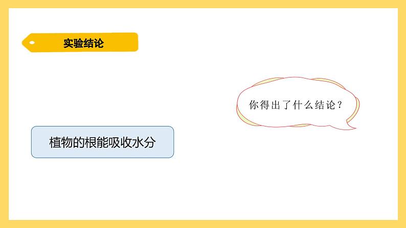 1.2 根对水分的吸收(课件)-2024-2025学年五年级上册科学粤教粤科版第8页