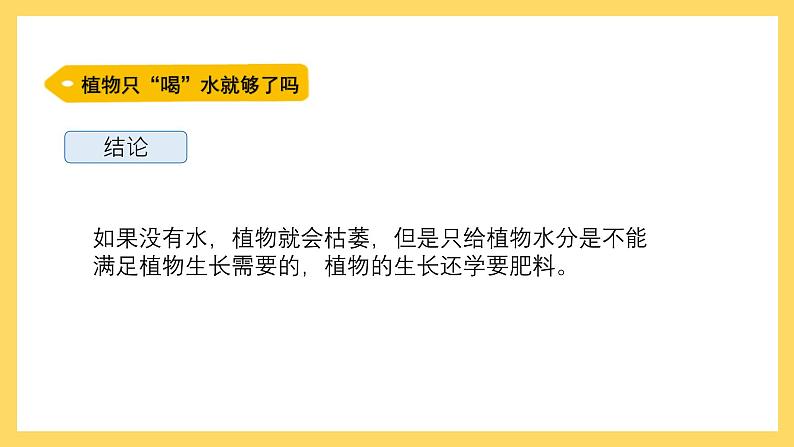 1.3 根还吸收了什么(课件)-2024-2025学年五年级上册科学粤教粤科版07