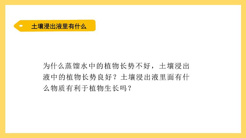 1.3 根还吸收了什么(课件)-2024-2025学年五年级上册科学粤教粤科版08