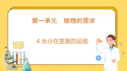 1.4 水分在茎里的运输（课件）-2024-2025学年五年级上册科学粤教粤科版