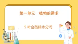 1.5 叶会蒸腾水分吗（课件）-2024-2025学年五年级上册科学粤教粤科版