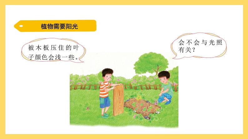 1.6 植物需要阳光(课件)-2024-2025学年五年级上册科学粤教粤科版第2页