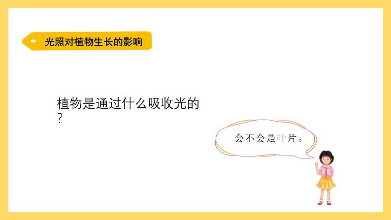 1.6 植物需要阳光(课件)-2024-2025学年五年级上册科学粤教粤科版第7页