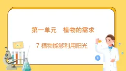 1.7 植物能够利用阳光(课件)-2024-2025学年五年级上册科学粤教粤科版