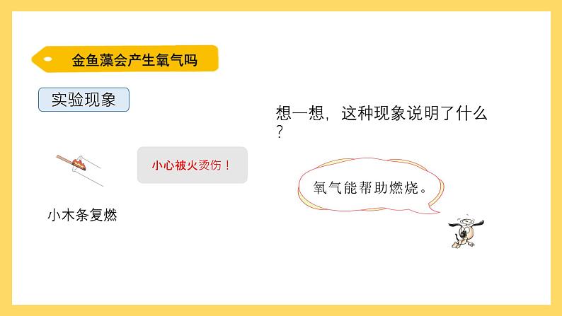1.7 植物能够利用阳光(课件)-2024-2025学年五年级上册科学粤教粤科版第6页