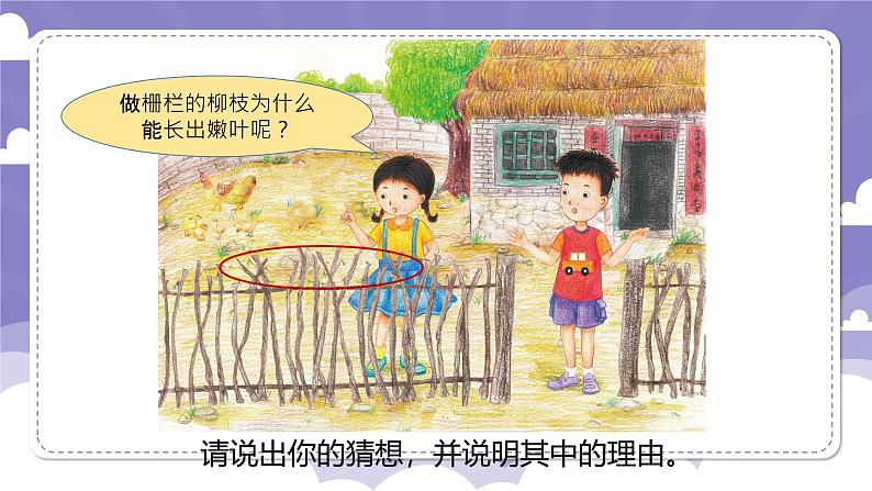 1.4 专题探究:可以不用种子繁殖吗(课件)-2024-2025学年四年级上册科学粤教粤科版第2页