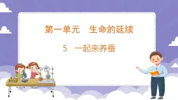 1.5 一起来养蚕（课件）-2024-2025学年四年级上册科学粤教粤科版