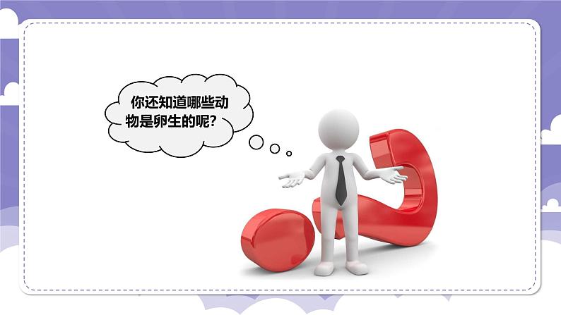1.6 母鸡生蛋了(课件)-2024-2025学年四年级上册科学粤教粤科版07