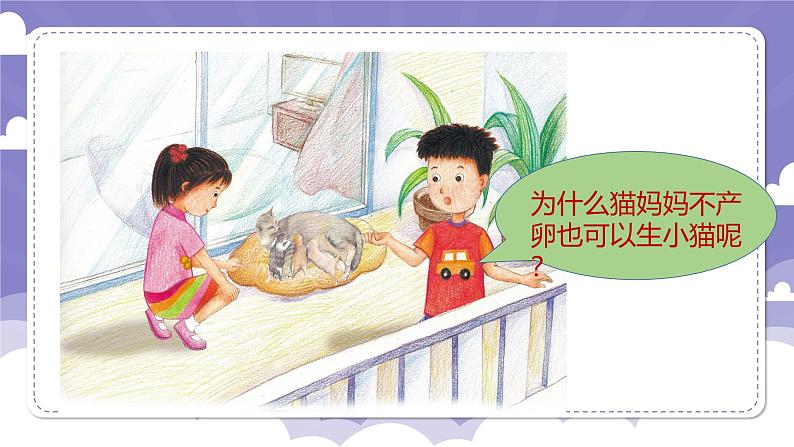 1.7 胎生动物(课件)-2024-2025学年四年级上册科学粤教粤科版第2页