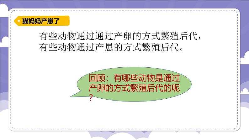 1.7 胎生动物(课件)-2024-2025学年四年级上册科学粤教粤科版第3页