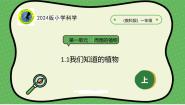 一年级上册（2024）第一单元 周围的植物1. 我们知道的植物优秀ppt课件