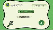 教科版（2024）一年级上册（2024）5. 植物的变化获奖ppt课件