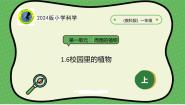 教科版（2024）一年级上册（2024）6. 校园里的植物一等奖课件ppt