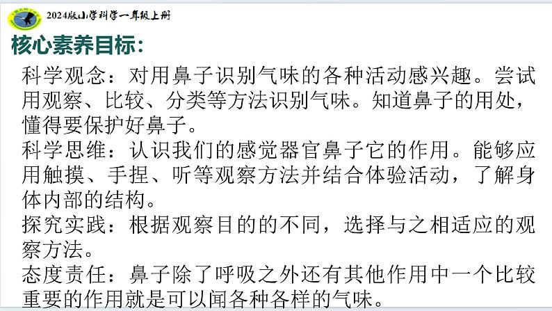 4核心素养目标【2024新教材】教科版科学一年级上册第二单元我们自己2.4气味告诉我们课件03