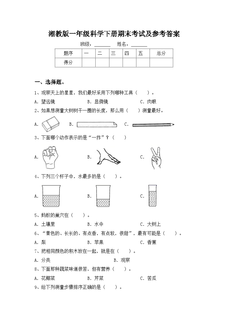 期末考试科学模拟试卷（试题）2023-2024学年一年级下册科学湘教版