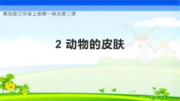 【核心素养】青岛版科学三年级上册 1.2 动物的皮肤（教学课件+同步教案）