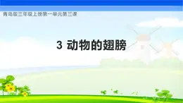 【核心素养】青岛版科学三年级上册 1.3 动物的翅膀（教学课件+同步教案）