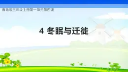 【核心素养】青岛版科学三年级上册 1.4 冬眠与迁徙（教学课件+同步教案）