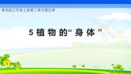 青岛版（六三制）(2024)三年级上册（2017）5 植物的“身体”获奖教学课件ppt
