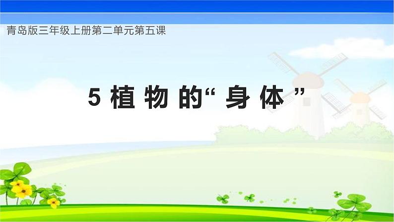 【核心素养】青岛版科学三年级上册 2.5 植物的“身体”(教学课件+同步教案)01