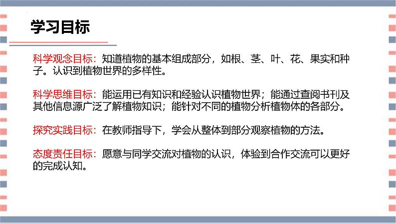 【核心素养】青岛版科学三年级上册 2.5 植物的“身体”(教学课件+同步教案)04