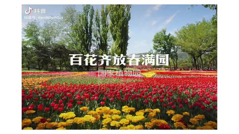 【核心素养】青岛版科学三年级上册 2.5 植物的“身体”(教学课件+同步教案)08