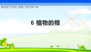 三年级上册（2017）第二单元 植物的生活6 植物的根试讲课教学课件ppt
