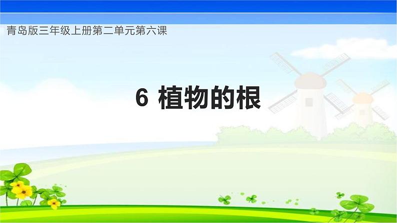 【核心素养】青岛版科学三年级上册 2.6 植物的根(教学课件)第1页