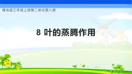 【核心素养】青岛版科学三年级上册 2.8 叶的蒸腾作用（教学课件+同步教案）