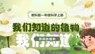 教科版（2024）一年级上册（2024）第一单元 周围的植物1. 我们知道的植物精品教学课件ppt