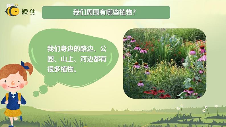 【核心素养】教科版科学一年级上册 1.1 我们知道的植物(教学课件+同步教案)03
