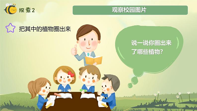 【核心素养】教科版科学一年级上册 1.1 我们知道的植物(教学课件+同步教案)07