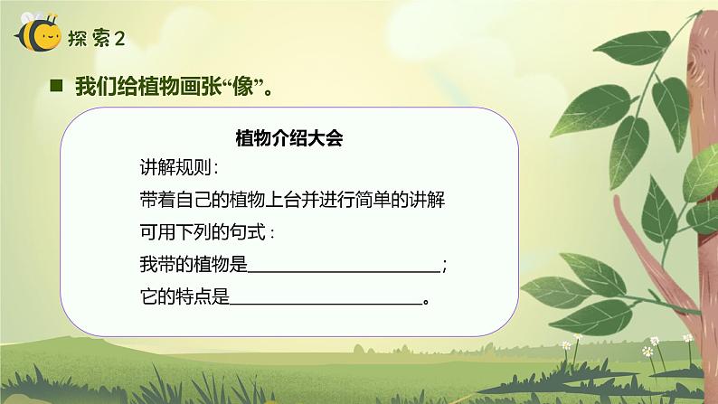 【核心素养】教科版科学一年级上册 1.4 给植物画张“像”(教学课件+同步教案)07