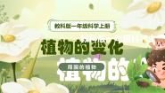 教科版（2024）一年级上册（2024）5. 植物的变化完整版教学ppt课件