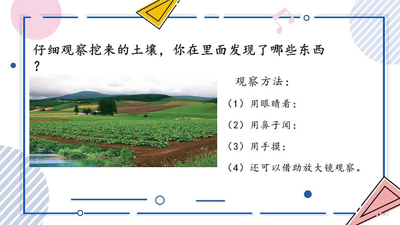 【核心素养】苏教版科学三年级上册 2.4 土壤的成分(教学课件)第6页