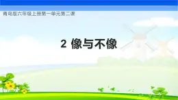 【核心素养】青岛版科学六年级上册 1.2 像与不像（教学课件+同步教案）