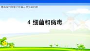 青岛版（六三制）(2024)六年级上册（2017）第二单元 微生物4 细菌和病毒优秀教学课件ppt