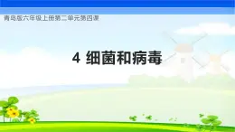 【核心素养】青岛版科学六年级上册 2.4 细菌和病毒（教学课件+同步教案）