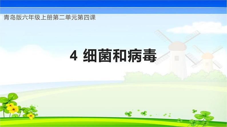 【核心素养】青岛版科学六年级上册 2.4 细菌和病毒(教学课件)第1页