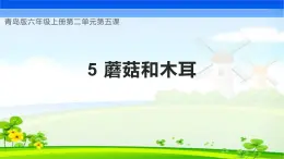 【核心素养】青岛版科学六年级上册 2.5 蘑菇和木耳（教学课件+同步教案）