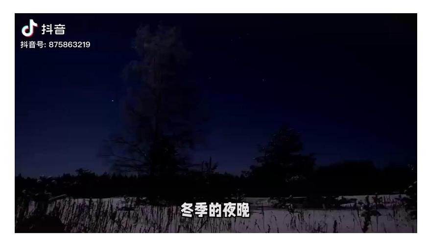【核心素養(yǎng)】青島版科學六年級上冊 3.8 冬季星空（教學課件）第8頁