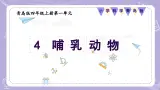 【核心素养】青岛版科学四年级上册 1.4 哺乳动物（教学课件+同步教案）