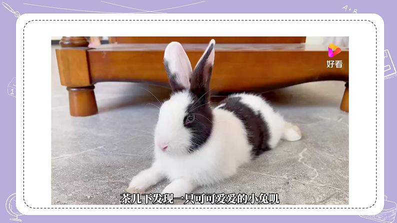 【核心素养】青岛版科学四年级上册 1.4 哺乳动物(教学课件+同步教案)04