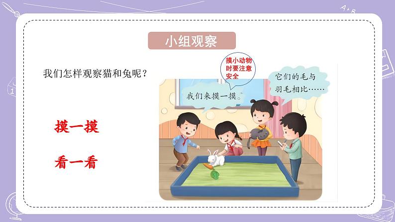 【核心素养】青岛版科学四年级上册 1.4 哺乳动物(教学课件+同步教案)06