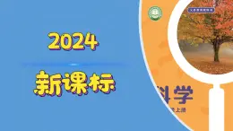 （2024）新版湘科版科学一年级上册（1）从观察开始-PPT课件