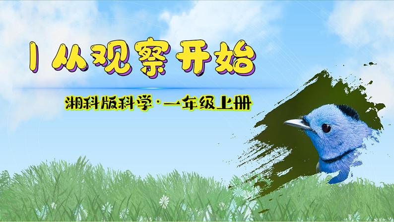 (2024)新版湘科版科学一年级上册(1)从观察开始-PPT课件02