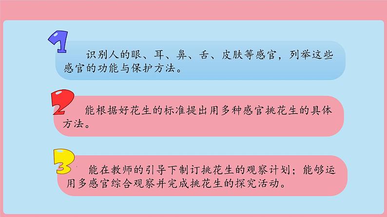 (2024)新版湘科版科学一年级上册(1)从观察开始-PPT课件03