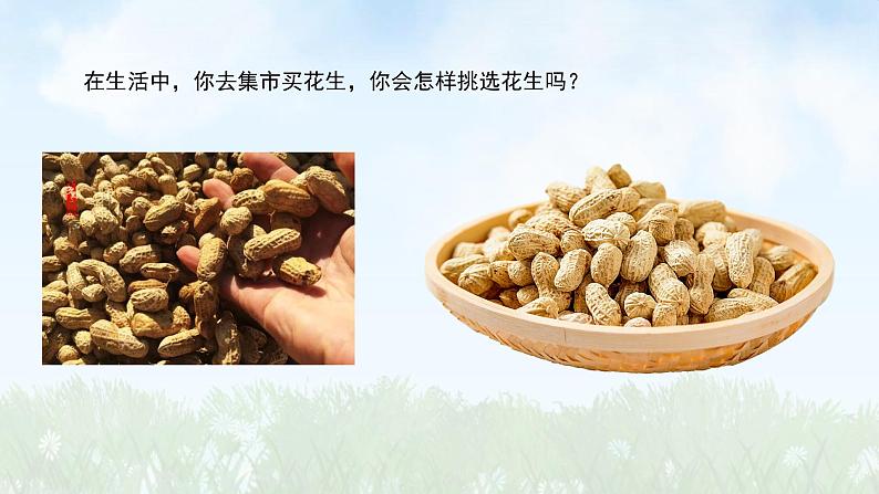 (2024)新版湘科版科学一年级上册(1)从观察开始-PPT课件06